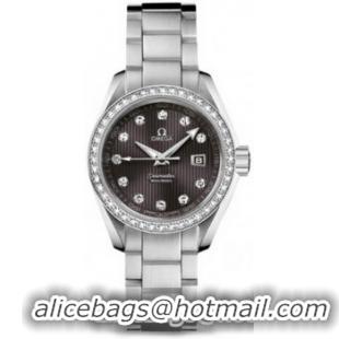 Omega Seamaster Aqua Terra Schmuck Watch 158595I