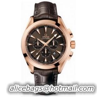 Omega Seamaster Aqua Terra Chronometer Watch 158592N