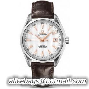 Omega Seamaster Aqua Terra Chronometer Watch 158592G