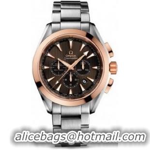 Omega Seamaster Aqua Terra Chronometer Watch 158592T