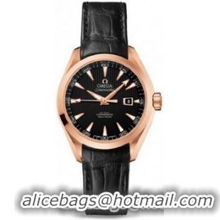 Omega Seamaster Aqua Terra Automatic Watch 158591I