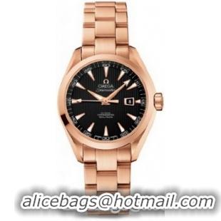 Omega Seamaster Aqua Terra Automatic Watch 158591K