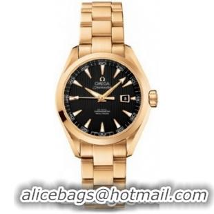 Omega Seamaster Aqua Terra Automatic Watch 158591L