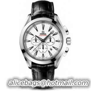 Omega Seamaster Aqua Terra Chronometer Watch 158592Y