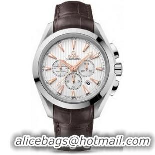 Omega Seamaster Aqua Terra Chronometer Watch 158592Z