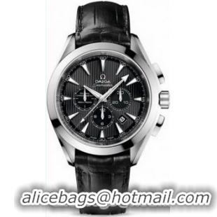 Omega Seamaster Aqua Terra Chronometer Watch 158592AA