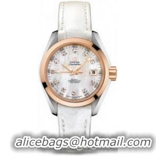 Omega Seamaster Aqua Terra Automatic Watch 158590F