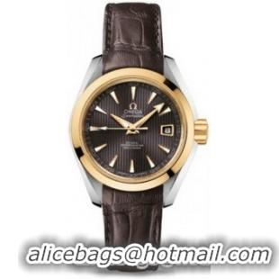 Omega Seamaster Aqua Terra Automatic Watch 158590G