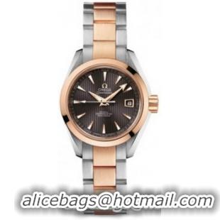 Omega Seamaster Aqua Terra Automatic Watch 158590O