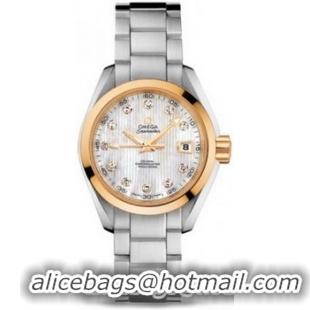 Omega Seamaster Aqua Terra Automatic Watch 158590K