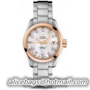 Omega Seamaster Aqua Terra Automatic Watch 158590L