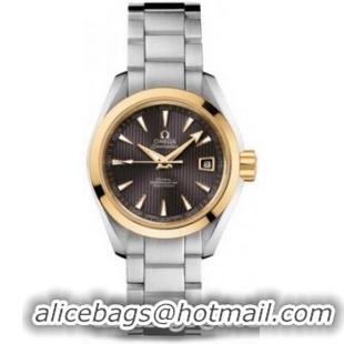 Omega Seamaster Aqua Terra Automatic Watch 158590M