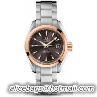 Omega Seamaster Aqua Terra Automatic Watch 158590N