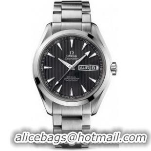 Omega Seamaster Aqua Terra Annual Calendar Watch 158589I