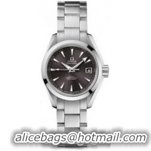 Omega Seamaster Aqua Terra Automatic Watch 158590Z