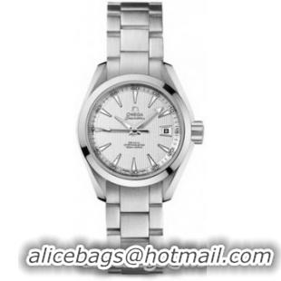 Omega Seamaster Aqua Terra Automatic Watch 158590AA