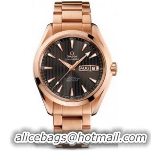 Omega Seamaster Aqua Terra Annual Calendar Watch 158589B