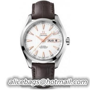 Omega Seamaster Aqua Terra Annual Calendar Watch 158589D