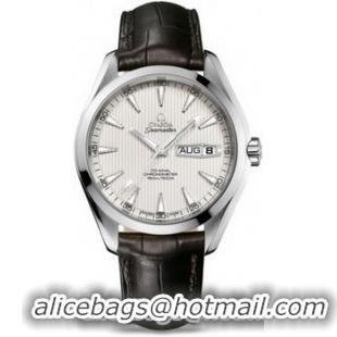 Omega Seamaster Aqua Terra Annual Calendar Watch 158589E