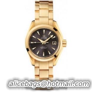 Omega Seamaster Aqua Terra Automatic Watch 158591N