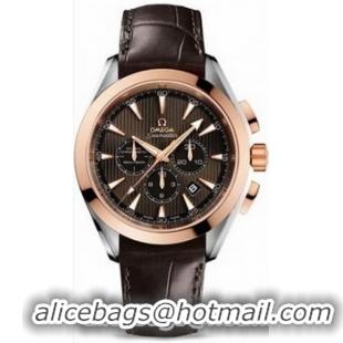 Omega Seamaster Aqua Terra Chronometer Watch 158592S