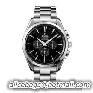 Omega Seamaster Aqua Terra Series Mens Stainless Steel Wristwatch-2512.50.00