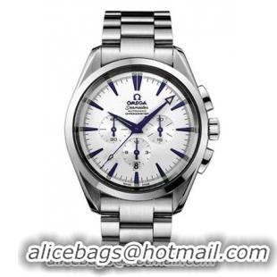 Omega Seamaster Aqua Terra Series Mens Stainless Steel Wristwatch-2512.30.00