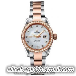 Omega Seamaster Aqua Terra Series Ladies Fashionable Wristwatch-2365.75.00