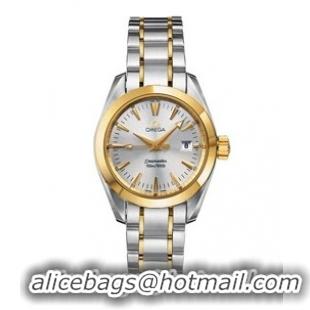 Omega Seamaster Aqua Terra Series Ladies Fashionable Wristwatch-2377.30.00