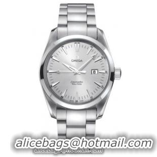 Omega Seamaster Aqua Terra Series Mens Stainless Steel Wristwatch-2517.30.00