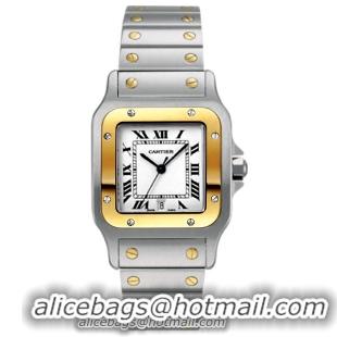 Cartier Santos Series 18k Yellow Gold and Stainless Steel Mens Swiss Quartz Wristwatch-W20011C4