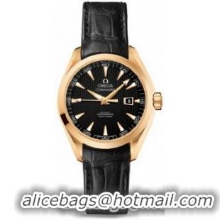 Omega Seamaster Aqua Terra Automatic Watch 158591J