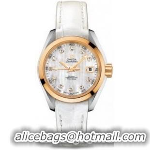 Omega Seamaster Aqua Terra Automatic Watch 158590E