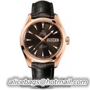 Omega Seamaster Aqua Terra Annual Calendar Watch 158589A