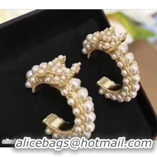 Luxury Chanel Earrings 314930