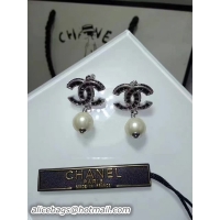 Durable Chanel Earrings 4627