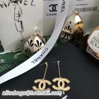 Fashion Chanel Earrings 4630