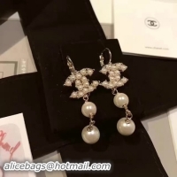 Fashion Chanel Earrings 4642