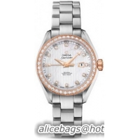 Omega Seamaster Aqua Terra Schmuck Watch 158595D