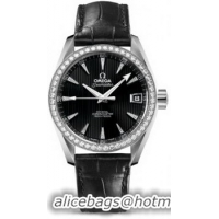 Omega Seamaster Aqua Terra Schmuck Watch 158595G