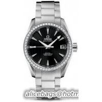 Omega Seamaster Aqua Terra Schmuck Watch 158595H