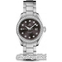 Omega Seamaster Aqua Terra Schmuck Watch 158595I