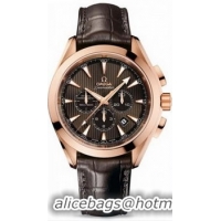 Omega Seamaster Aqua Terra Chronometer Watch 158592N