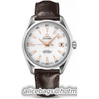 Omega Seamaster Aqua Terra Chronometer Watch 158592G