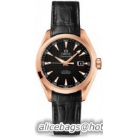 Omega Seamaster Aqua Terra Automatic Watch 158591I