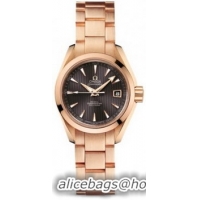 Omega Seamaster Aqua Terra Automatic Watch 158591O