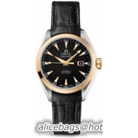 Omega Seamaster Aqua Terra Automatic Watch 158590D