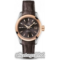 Omega Seamaster Aqua Terra Automatic Watch 158590H