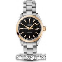 Omega Seamaster Aqua Terra Automatic Watch 158590I