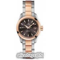 Omega Seamaster Aqua Terra Automatic Watch 158590O